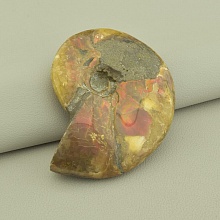 картинка Окаменелость натурального камня аммонита, коричневый, 75x55 мм от магазина Wolves